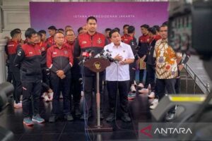 Ribuan Tiket Pertandingan Timnas Indonesia vs Argentina Habis Terjual