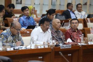 BP Batam Laporkan Evaluasi Anggaran Terkini Dalam RDP Komisi VI DPR RI
