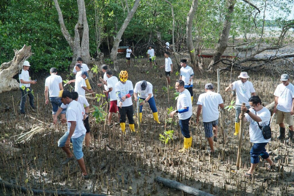 Dalam Rangka Hari Lingkungan Hidup Sedunia PLN Batam Tanam Bibit Mangrove dan Pungut Sampah di Desa Wisata Kampung Terih