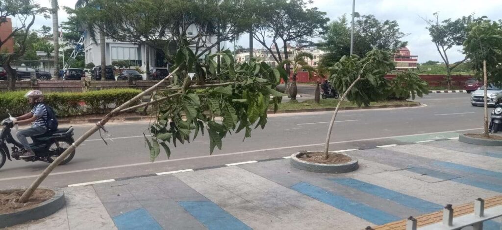 Sejumlah tanaman di pedestrian depan kantor BP Batam, Batam Center rusak usai kericuhan aksi massa pada Senin, (11/9/2023).