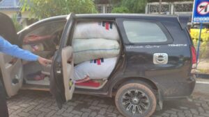 Bea Cukai Batam Amankan 7 Mobil Penuh Barang Ilegal di Pelabuhan RoRo Punggur