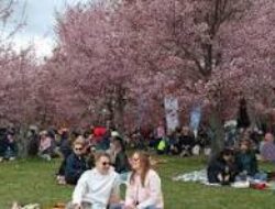 Finlandia Negara Paling Bahagia di Dunia 7 Tahun Berturut-turut