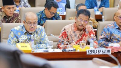 Kepala BP Batam Paparkan Kinerja Anggaran dalam RDP bersama Komisi VI DPR RI