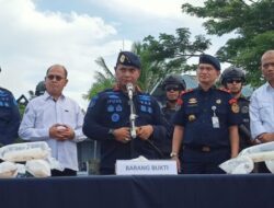 KKP Gagalkan Penyelundupan 85 Ribu Baby Lobster
