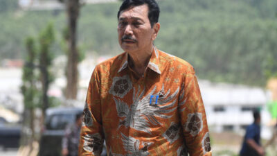 Ketua Dewan Ekonomi Nasional Luhut Binsar Pandjaitan. Foto: M Risyal Hidayat/ANTARA FOTO