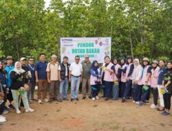 Peringati Hari Menanam Pohon Indonesia, PLN Batam Tanam 1.000 Pohon