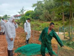 Jamin Buaya Lepas Tak Sampai Pemukiman, Polisi Minta Warga Waspada Saat Melaut