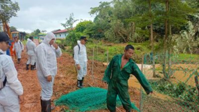 Jamin Buaya Lepas Tak Sampai Pemukiman, Polisi Minta Warga Waspada Saat Melaut