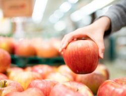 8 Buah yang Paling Baik Dikonsumsi untuk Bikin Ginjal Kuat