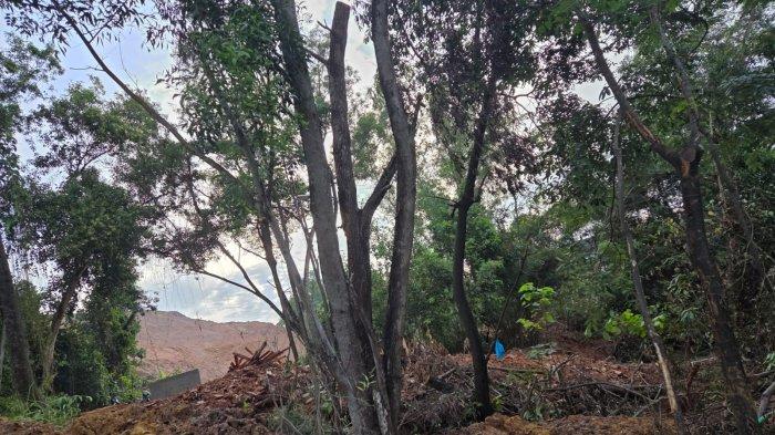 Lahan Bukit Vista Batam yang sedang dilakukan pemotongan, dan membuat pergeseran tanah di Jalan Gajah Mada, arah Sekupang,