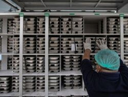 Viral Serpihan Kaca dalam Menu MBG di Batam, SPPG Sebut Tak Sengaja