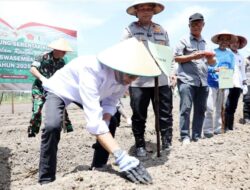 Sinergi Polda Kepri dan Pemko Batam Tanam Jagung Serentak Dukung Swasembada Pangan Nasional 2025Pemko Batam Dukung Swasembada Pangan Nasional