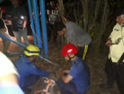 Petugas Damkar Amankan Buaya Penghuni Dam Duriangkang Batam yang Viral di Media Sosial