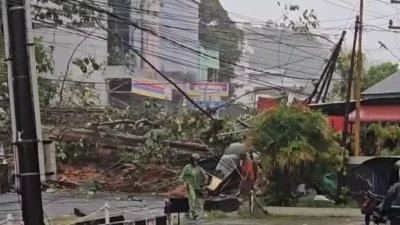 JARINGAN TELEKOMUNIKASI RUSAK- Sejumlah kabel listrik dan telekomunikasi tampak berserakan setelah pohon tumbang menimpa jaringan di salah satu ruas jalan di Sibolga, Selasa (25/11/2025). Dampak cuaca ekstrem berupa banjir dan longsor menyebabkan listrik padam serta jaringan telekomunikasi terganggu, membuat banyak keluarga di luar daerah kesulitan menghubungi kerabatnya