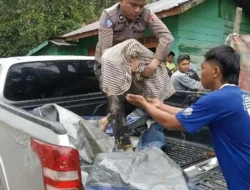 Daftar Nama 11 Orang Meninggal Dunia dalam Bencana Alam di Taput, 35 Orang Dinyatakan Hilang
