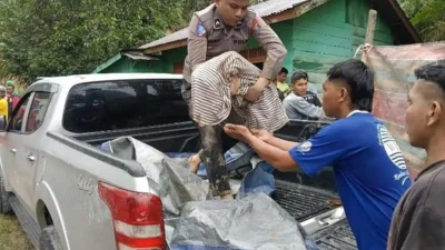 KORBAN LONGSOR - Sejumlah korban longsor ditemukan tertimbun material longsor di Taput, Kamis (27/11/2025).
