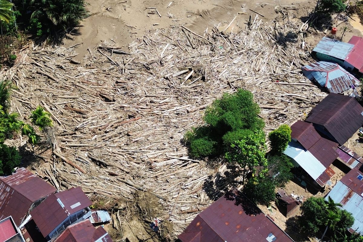 Gelondongan kayu yang terbawa banjir bandang sejak dua pekan lalu masih tersangkut di wilayah itu. (ANTARA FOTO/Iggoy el Fitra)