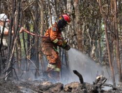 Tinjau Kebakaran Hutan, Ariastuty Imbau Masyarakat Waspadai Setiap Tindakan