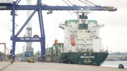 Volume Peti Kemas Tumbuh, Jumlah Penumpang Melonjak, BP Batam Buka 2026 dengan Kinerja Optimis