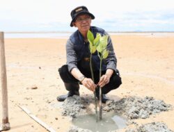 Aksi Menyelamatkan Bumi, Wali Kota bersama Mahasiswa Batam Tanam 2.000 Mangrove