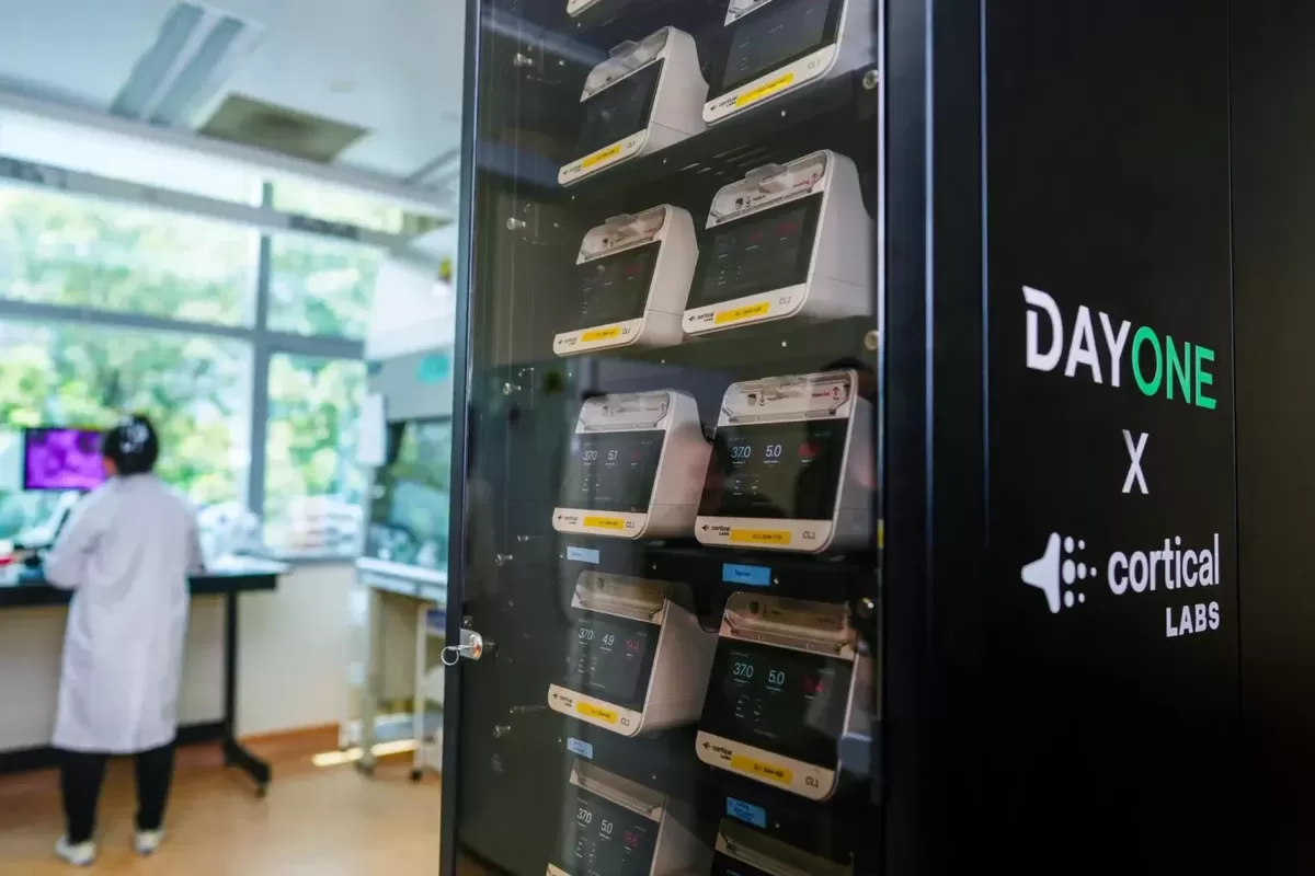 Ilustrasi data center yang ditenagai sel otak manusia di National University of Singapore.(NUS)