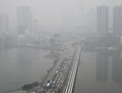 Singapura Bidik 10 Perusahaan Terkait Karhutla Indonesia