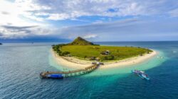 Pulau Kenawa Sumbawa Barat Terbakar, Savana Hangus