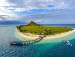 Pulau Kenawa Sumbawa Barat Terbakar, Savana Hangus